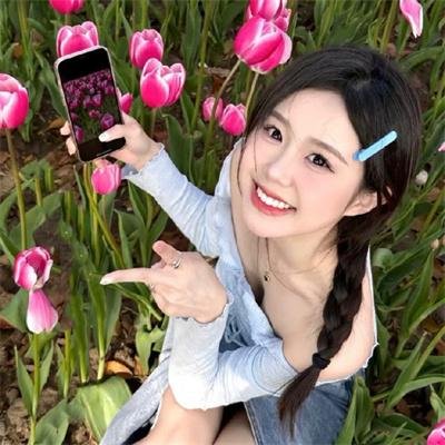 森林之北